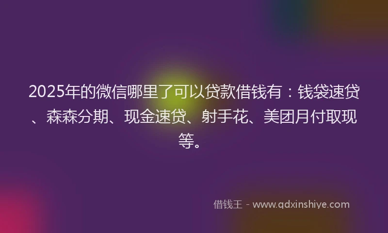 2025年的微信哪里了可以贷款借钱有：钱袋速贷、森森分期、现金速贷、射手花、美团月付取现等。