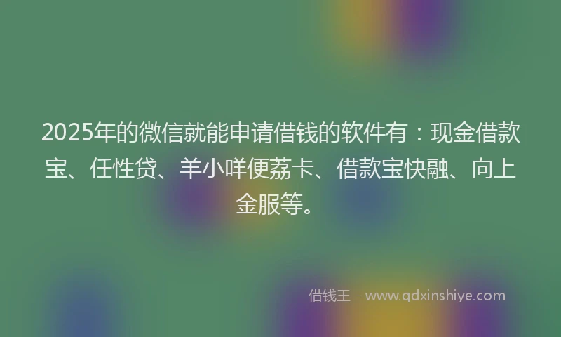 2025年的微信就能申请借钱的软件有：现金借款宝、任性贷、羊小咩便荔卡、借款宝快融、向上金服等。