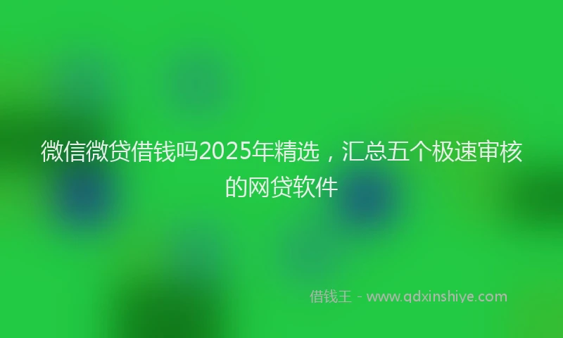微信微贷借钱吗2025年精选，汇总五个极速审核的网贷软件