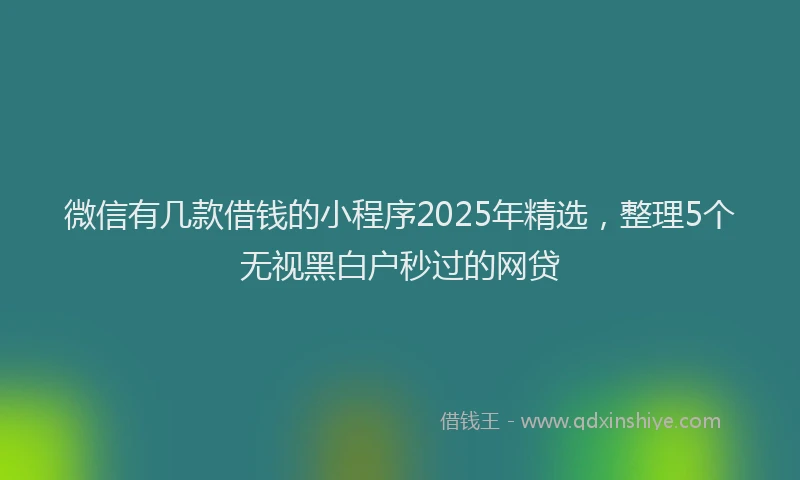 微信有几款借钱的小程序2025年精选，整理5个无视黑白户秒过的网贷