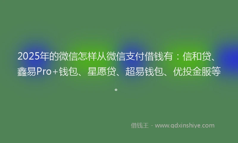 2025年的微信怎样从微信支付借钱有：信和贷、鑫易Pro+钱包、星愿贷、超易钱包、优投金服等。