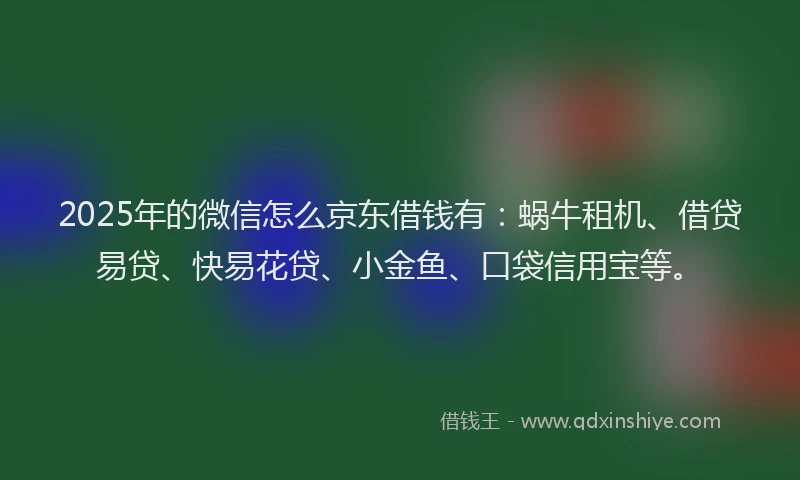 2025年的微信怎么京东借钱有：蜗牛租机、借贷易贷、快易花贷、小金鱼、口袋信用宝等。
