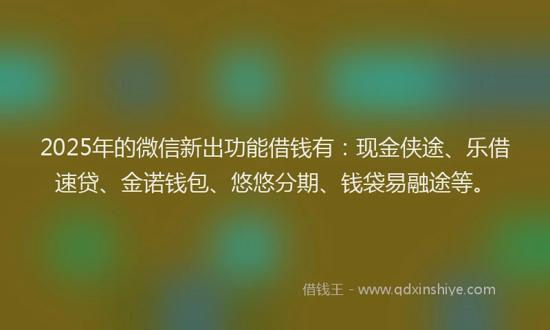 2025年的微信新出功能借钱有：现金侠途、乐借速贷、金诺钱包、悠悠分期、钱袋易融途等。