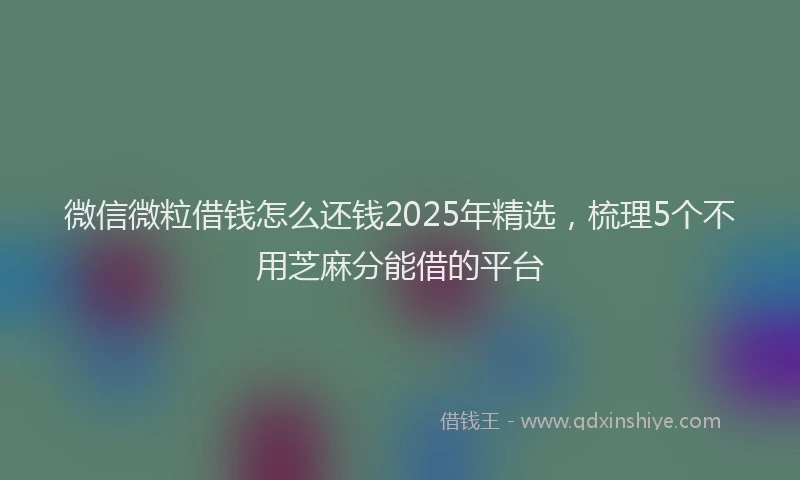 微信微粒借钱怎么还钱2025年精选，梳理5个不用芝麻分能借的平台