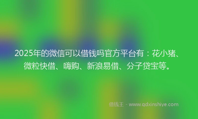 2025年的微信可以借钱吗官方平台有：花小猪、微粒快借、嗨购、新浪易借、分子贷宝等。