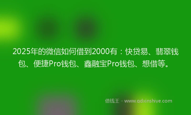 2025年的微信如何借到2000有：快贷易、翡翠钱包、便捷Pro钱包、鑫融宝Pro钱包、想借等。