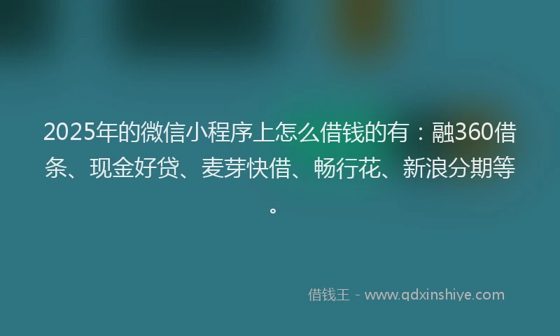 2025年的微信小程序上怎么借钱的有：融360借条、现金好贷、麦芽快借、畅行花、新浪分期等。