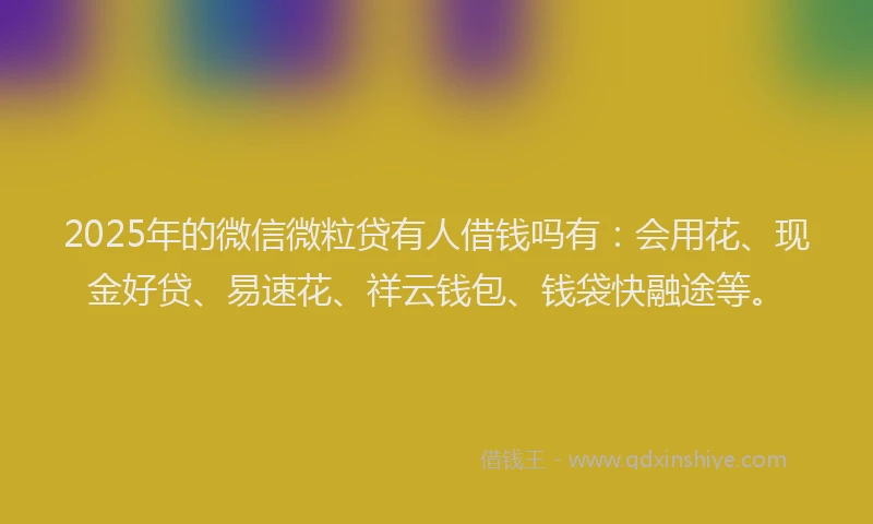 2025年的微信微粒贷有人借钱吗有：会用花、现金好贷、易速花、祥云钱包、钱袋快融途等。