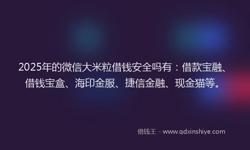 2025年的微信大米粒借钱安全吗有：借款宝融、借钱宝盒、海印金服、捷信金融、现金猫等。
