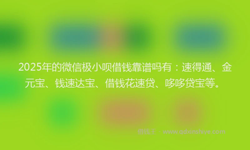 2025年的微信极小呗借钱靠谱吗有：速得通、金元宝、钱速达宝、借钱花速贷、哆哆贷宝等。