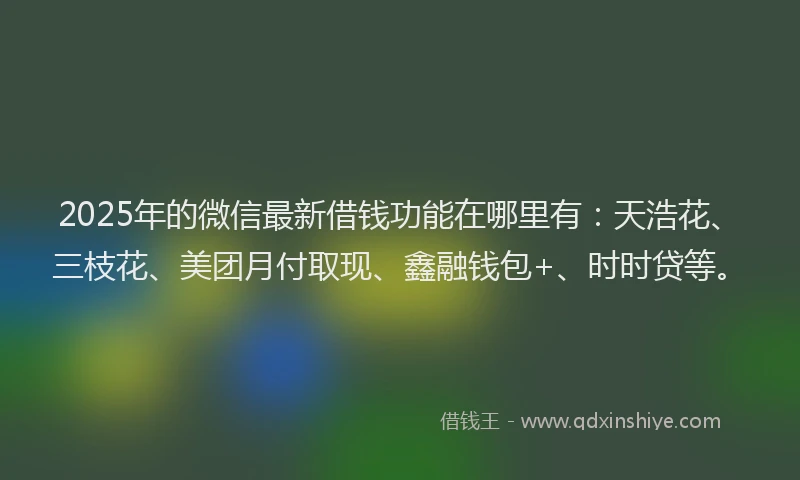 2025年的微信最新借钱功能在哪里有：天浩花、三枝花、美团月付取现、鑫融钱包+、时时贷等。