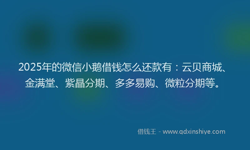 2025年的微信小鹅借钱怎么还款有：云贝商城、金满堂、紫晶分期、多多易购、微粒分期等。