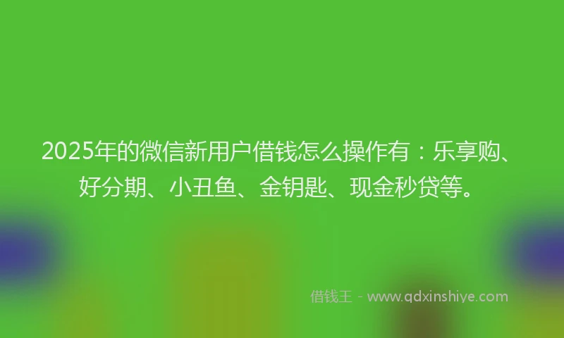 2025年的微信新用户借钱怎么操作有：乐享购、好分期、小丑鱼、金钥匙、现金秒贷等。