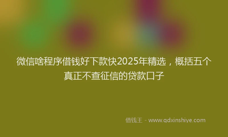 微信啥程序借钱好下款快2025年精选，概括五个真正不查征信的贷款口子