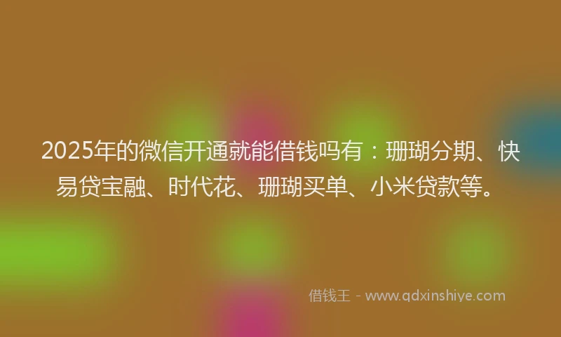 2025年的微信开通就能借钱吗有：珊瑚分期、快易贷宝融、时代花、珊瑚买单、小米贷款等。
