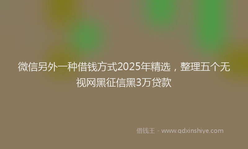 微信另外一种借钱方式2025年精选，整理五个无视网黑征信黑3万贷款