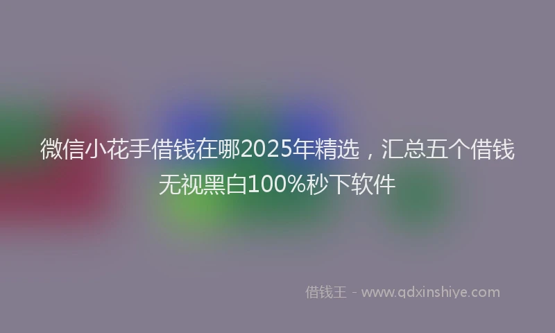 微信小花手借钱在哪2025年精选，汇总五个借钱无视黑白100%秒下软件