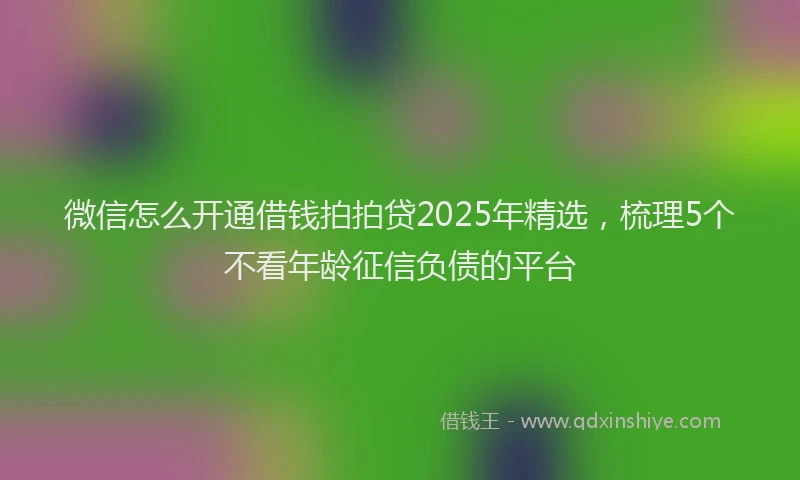 微信怎么开通借钱拍拍贷2025年精选，梳理5个不看年龄征信负债的平台