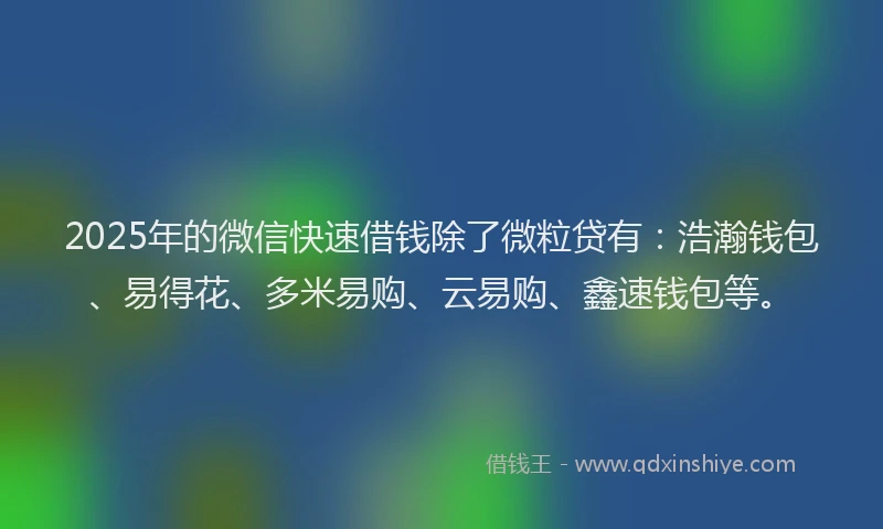 2025年的微信快速借钱除了微粒贷有：浩瀚钱包、易得花、多米易购、云易购、鑫速钱包等。