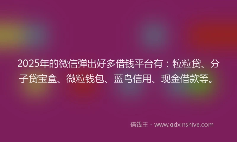 2025年的微信弹出好多借钱平台有：粒粒贷、分子贷宝盒、微粒钱包、蓝鸟信用、现金借款等。