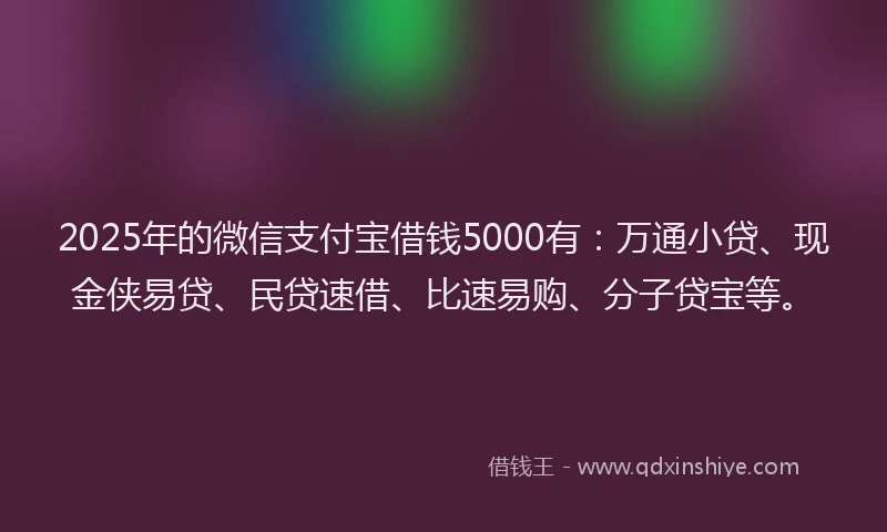 2025年的微信支付宝借钱5000有：万通小贷、现金侠易贷、民贷速借、比速易购、分子贷宝等。