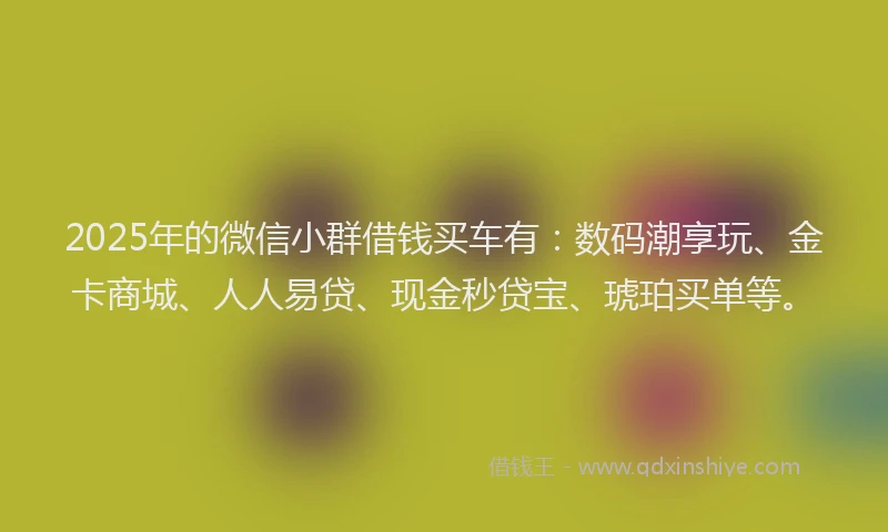 2025年的微信小群借钱买车有：数码潮享玩、金卡商城、人人易贷、现金秒贷宝、琥珀买单等。