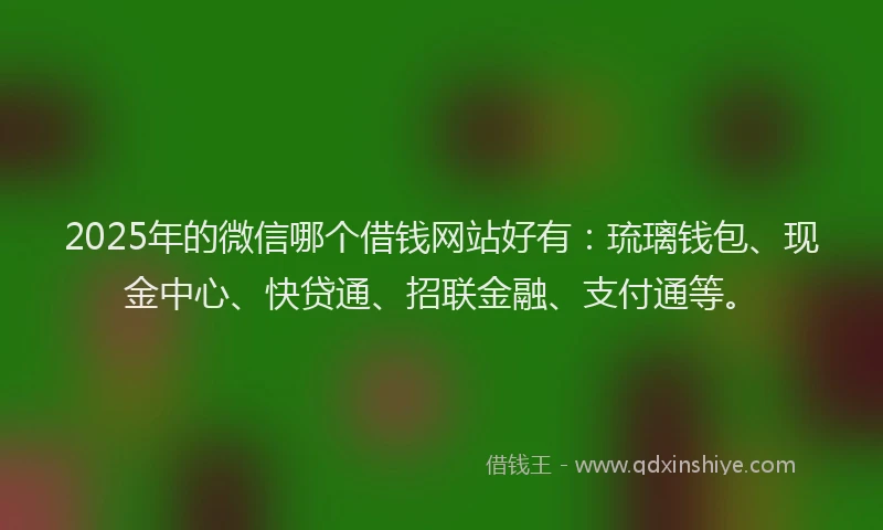 2025年的微信哪个借钱网站好有：琉璃钱包、现金中心、快贷通、招联金融、支付通等。