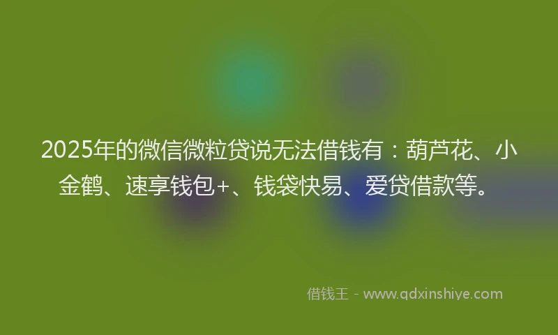 2025年的微信微粒贷说无法借钱有：葫芦花、小金鹤、速享钱包+、钱袋快易、爱贷借款等。