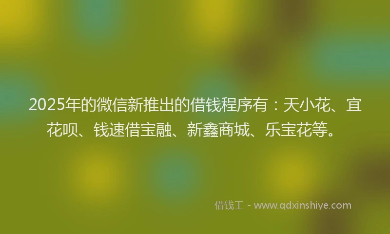 2025年的微信新推出的借钱程序有：天小花、宜花呗、钱速借宝融、新鑫商城、乐宝花等。