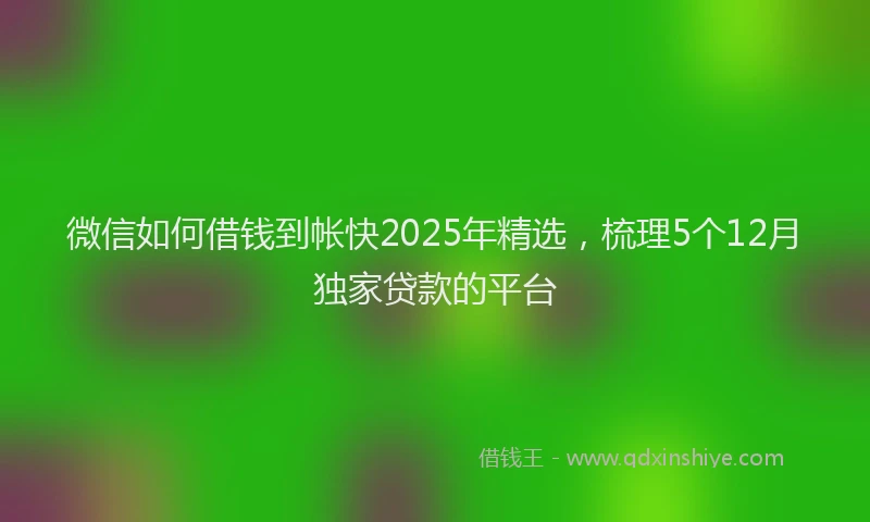 微信如何借钱到帐快2025年精选，梳理5个12月独家贷款的平台
