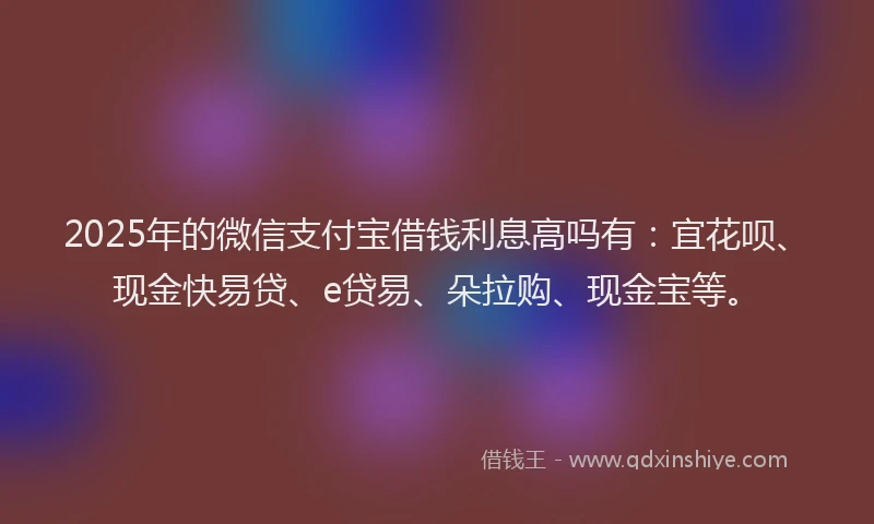 2025年的微信支付宝借钱利息高吗有：宜花呗、现金快易贷、e贷易、朵拉购、现金宝等。