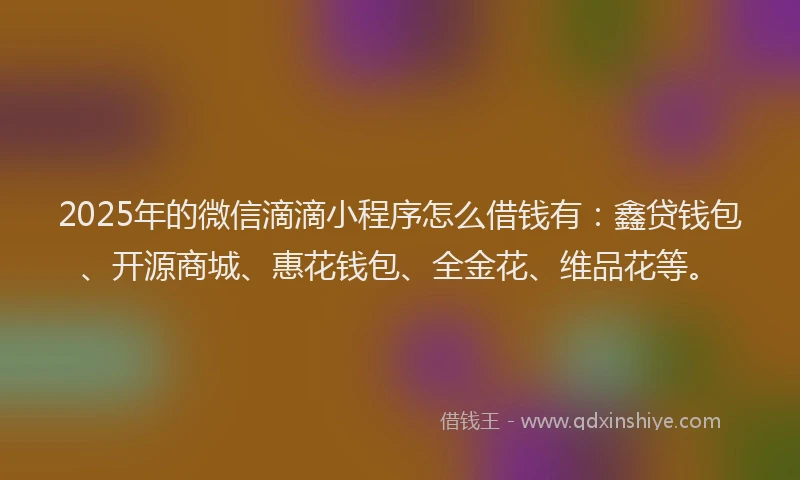 2025年的微信滴滴小程序怎么借钱有：鑫贷钱包、开源商城、惠花钱包、全金花、维品花等。
