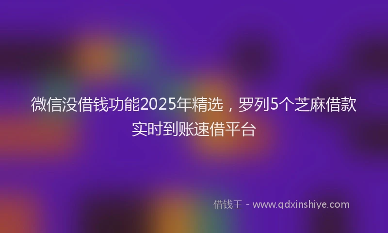 微信没借钱功能2025年精选，罗列5个芝麻借款实时到账速借平台