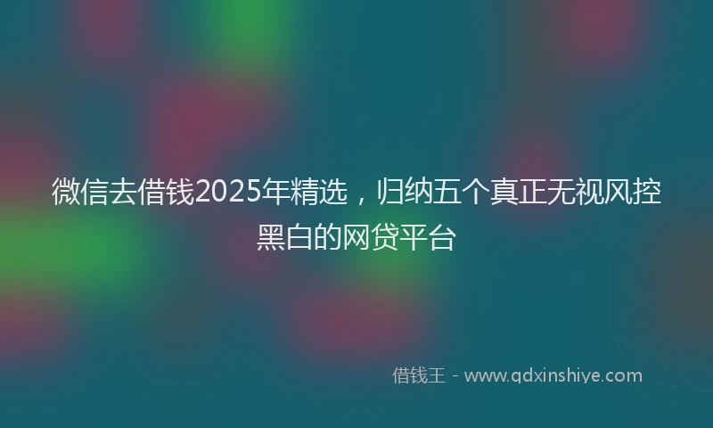 微信去借钱2025年精选，归纳五个真正无视风控黑白的网贷平台