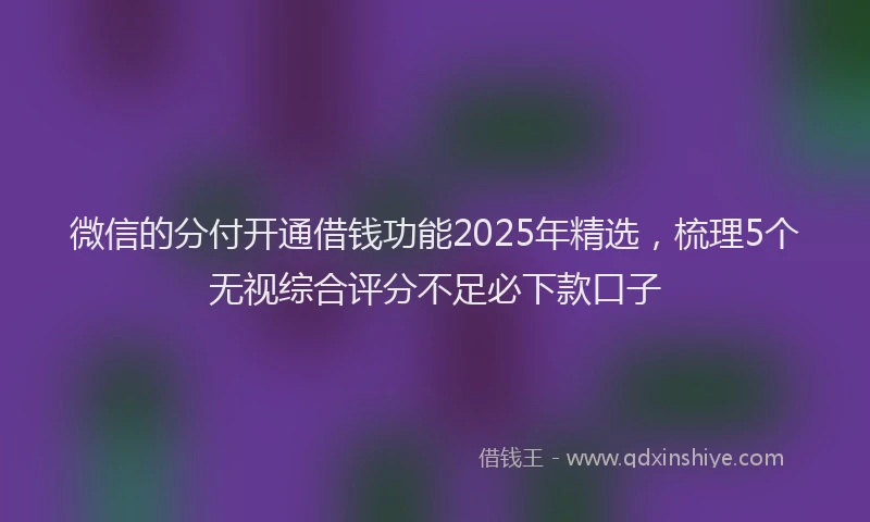 微信的分付开通借钱功能2025年精选，梳理5个无视综合评分不足必下款口子