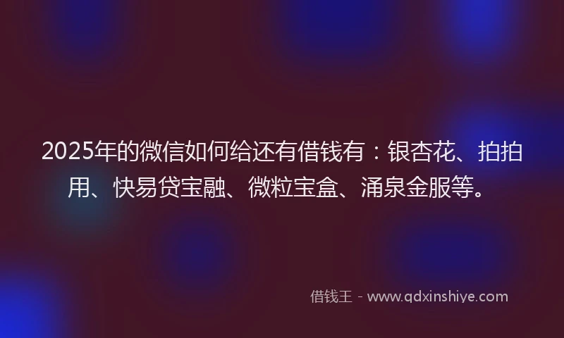 2025年的微信如何给还有借钱有：银杏花、拍拍用、快易贷宝融、微粒宝盒、涌泉金服等。