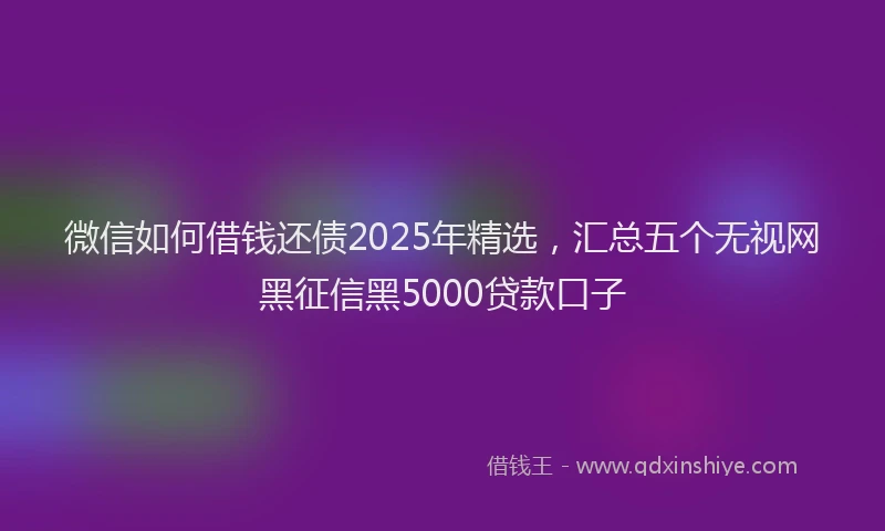 微信如何借钱还债2025年精选，汇总五个无视网黑征信黑5000贷款口子