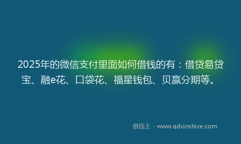 2025年的微信支付里面如何借钱的有：借贷易贷宝、融e花、口袋花、福星钱包、贝赢分期等。