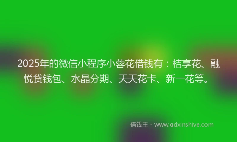 2025年的微信小程序小蓉花借钱有：桔享花、融悦贷钱包、水晶分期、天天花卡、新一花等。