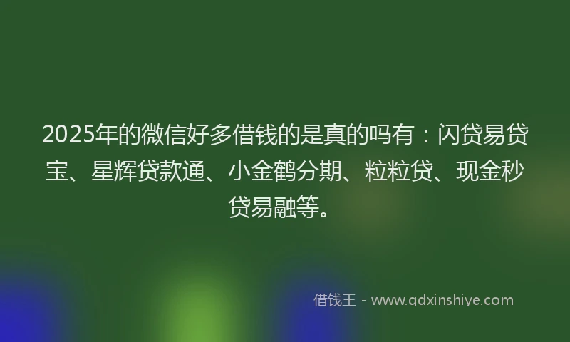 2025年的微信好多借钱的是真的吗有：闪贷易贷宝、星辉贷款通、小金鹤分期、粒粒贷、现金秒贷易融等。