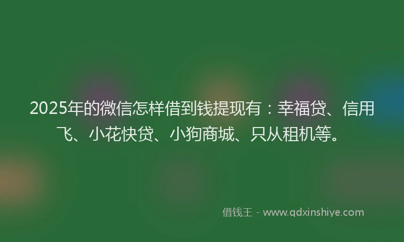 2025年的微信怎样借到钱提现有：幸福贷、信用飞、小花快贷、小狗商城、只从租机等。