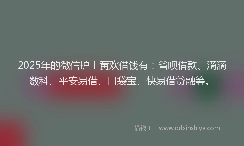 2025年的微信护士黄欢借钱有：省呗借款、滴滴数科、平安易借、口袋宝、快易借贷融等。
