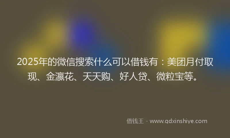 2025年的微信搜索什么可以借钱有：美团月付取现、金瀛花、天天购、好人贷、微粒宝等。