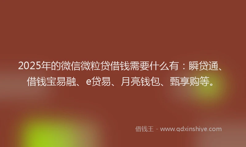 2025年的微信微粒贷借钱需要什么有：瞬贷通、借钱宝易融、e贷易、月亮钱包、甄享购等。