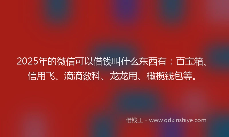 2025年的微信可以借钱叫什么东西有：百宝箱、信用飞、滴滴数科、龙龙用、橄榄钱包等。