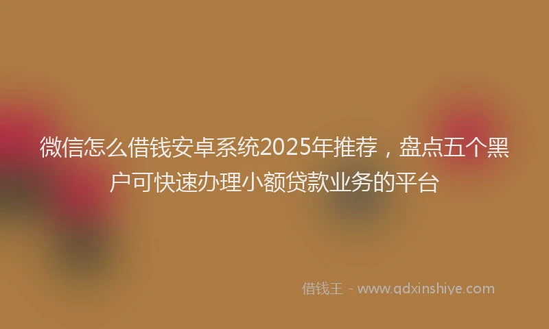 微信怎么借钱安卓系统2025年推荐，盘点五个黑户可快速办理小额贷款业务的平台