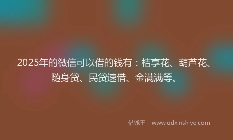 2025年的微信可以借的钱有：桔享花、葫芦花、随身贷、民贷速借、金满满等。