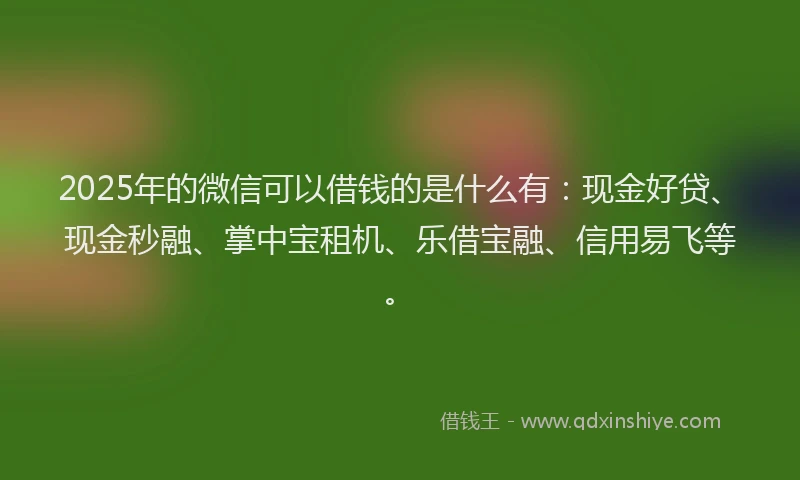 2025年的微信可以借钱的是什么有：现金好贷、现金秒融、掌中宝租机、乐借宝融、信用易飞等。