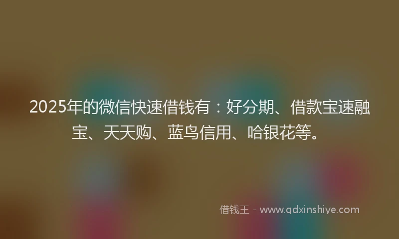 2025年的微信快速借钱有：好分期、借款宝速融宝、天天购、蓝鸟信用、哈银花等。