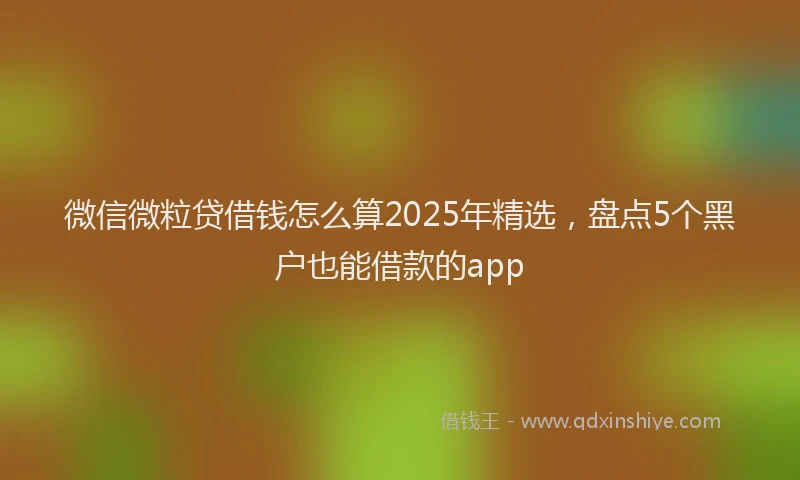 微信微粒贷借钱怎么算2025年精选，盘点5个黑户也能借款的app